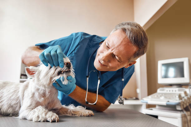 Best Pediatric Emergency Dentist in Smithville, TX