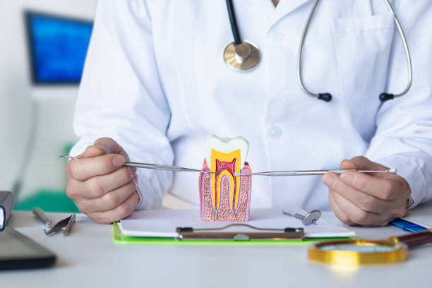 Best After-Hours Emergency Dentist in Smithville, TX